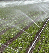 物聯網卡應用于大田種植物聯網和智能節水灌溉系統